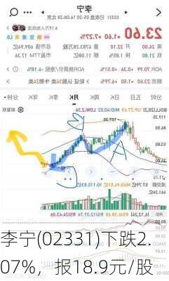 李宁(02331)下跌2.07%，报18.9元/股