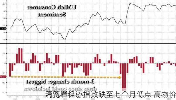 
消费者信心指数跌至七个月低点 高物价
云笼罩经济