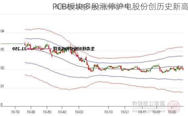 PCB板块多股涨停沪电股份创历史新高