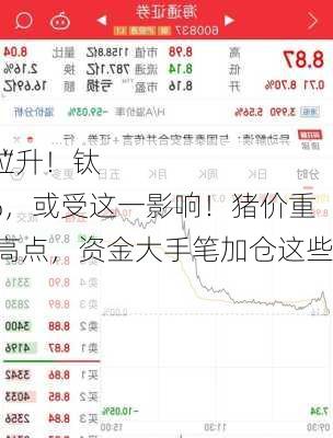 一则传闻，“
旗手”午后拉升！钛
龙头大跌8%，或受这一影响！猪价重回近一年半高点，资金大手笔加仓这些股