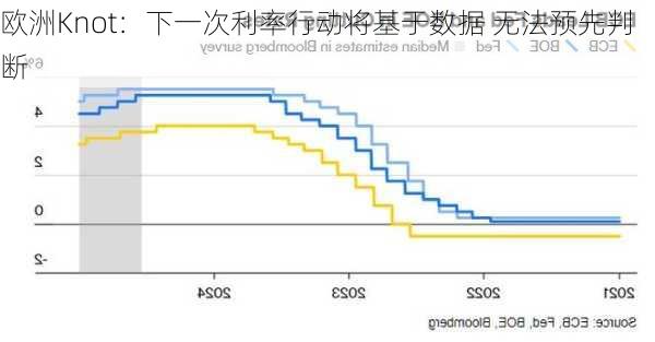 欧洲Knot：下一次利率行动将基于数据 无法预先判断