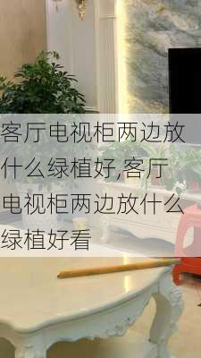 客厅电视柜两边放什么绿植好,客厅电视柜两边放什么绿植好看