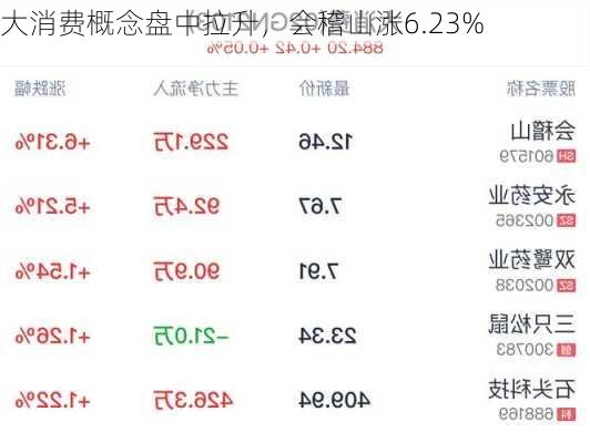 大消费概念盘中拉升，会稽山涨6.23%