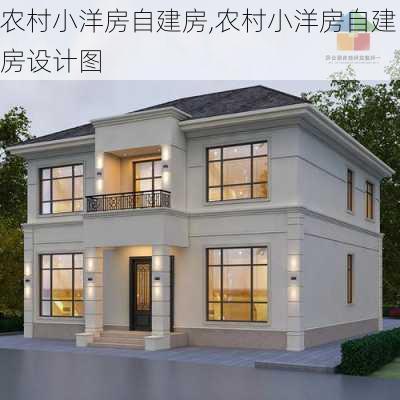 农村小洋房自建房,农村小洋房自建房设计图