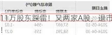 11万股东踩雷！又两家A股，退市！