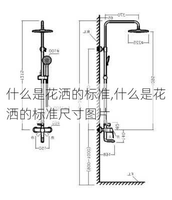 什么是花洒的标准,什么是花洒的标准尺寸图片