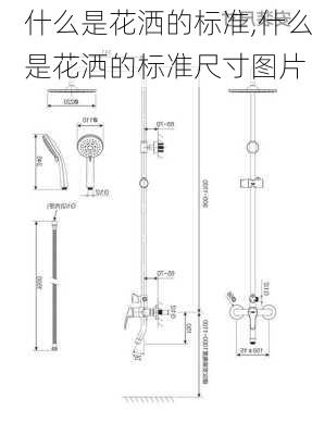 什么是花洒的标准,什么是花洒的标准尺寸图片