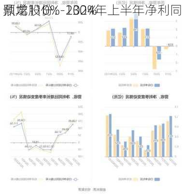 鼎龙股份：2024年上半年净利同
预增110%-130%