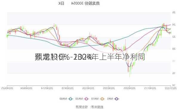 鼎龙股份：2024年上半年净利同
预增110%-130%