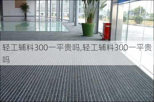 轻工辅料300一平贵吗,轻工辅料300一平贵吗