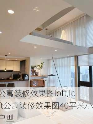 公寓装修效果图loft,loft公寓装修效果图40平米小户型