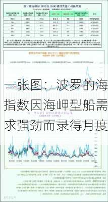 一张图：波罗的海指数因海岬型船需求强劲而录得月度
