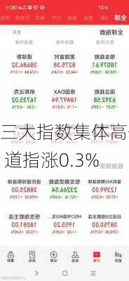 
三大指数集体高开 道指涨0.3%