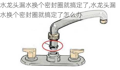 水龙头漏水换个密封圈就搞定了,水龙头漏水换个密封圈就搞定了怎么办