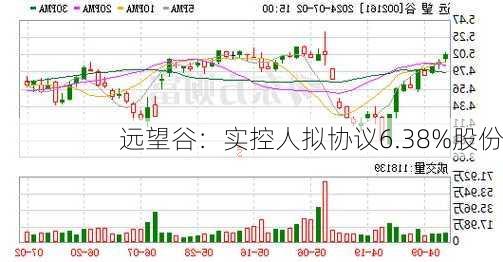 远望谷：实控人拟协议6.38%股份