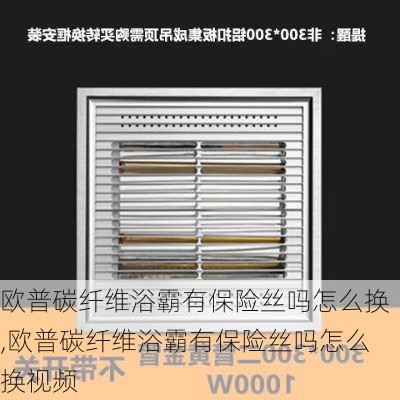 欧普碳纤维浴霸有保险丝吗怎么换,欧普碳纤维浴霸有保险丝吗怎么换视频