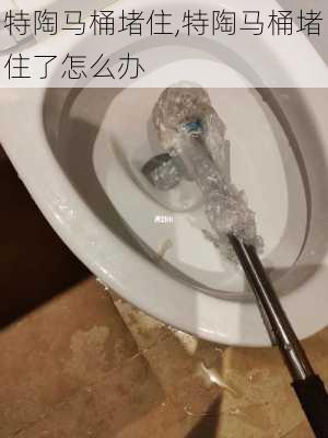 特陶马桶堵住,特陶马桶堵住了怎么办