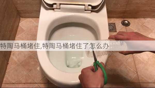 特陶马桶堵住,特陶马桶堵住了怎么办