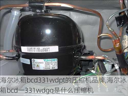 海尔冰箱bcd331wdpt的压缩机品牌,海尔冰箱bcd一331wdgq是什么压缩机