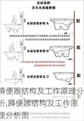 蹲便器结构及工作原理分析,蹲便器结构及工作原理分析图