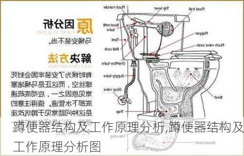 蹲便器结构及工作原理分析,蹲便器结构及工作原理分析图