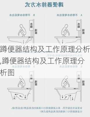 蹲便器结构及工作原理分析,蹲便器结构及工作原理分析图