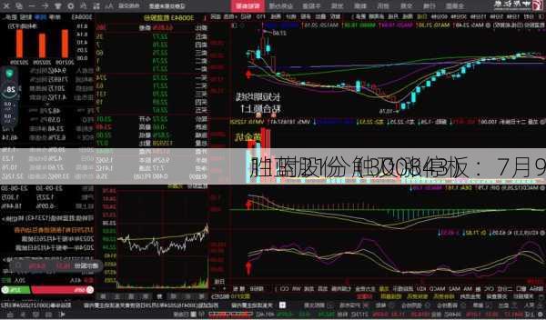 胜蓝股份（300843）：7月9
11时21分触及涨停板