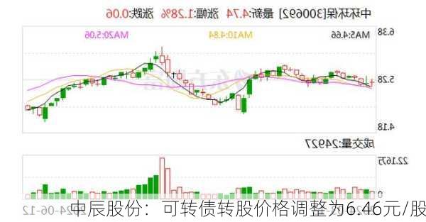 中辰股份：可转债转股价格调整为6.46元/股