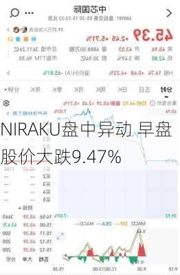 NIRAKU盘中异动 早盘股价大跌9.47%