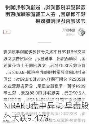 NIRAKU盘中异动 早盘股价大跌9.47%