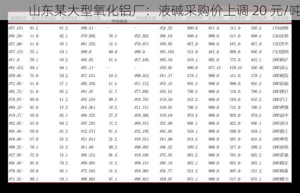 山东某大型氧化铝厂：液碱采购价上调 20 元/吨