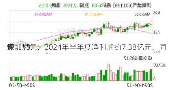 深圳燃气：2024年半年度净利润约7.38亿元，同
增加13.
%