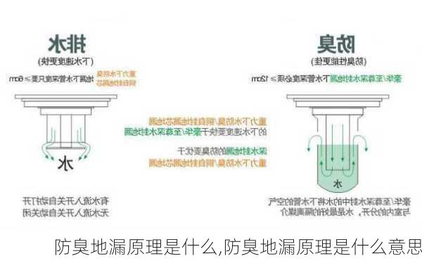 防臭地漏原理是什么,防臭地漏原理是什么意思