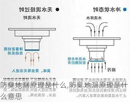 防臭地漏原理是什么,防臭地漏原理是什么意思