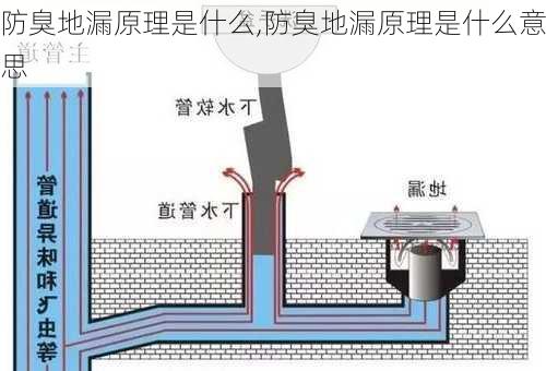 防臭地漏原理是什么,防臭地漏原理是什么意思