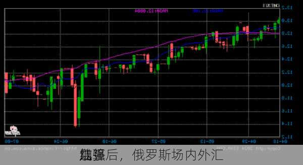 
加强后，俄罗斯场内外汇
几乎
以
结算