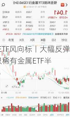 行业ETF风向标丨大幅反弹！3只稀有金属ETF半
涨超4%