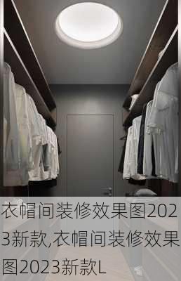 衣帽间装修效果图2023新款,衣帽间装修效果图2023新款L