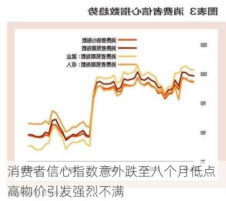 
消费者信心指数意外跌至八个月低点 高物价引发强烈不满