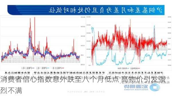 
消费者信心指数意外跌至八个月低点 高物价引发强烈不满