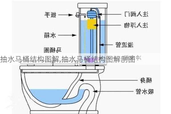 抽水马桶结构图解,抽水马桶结构图解剖图