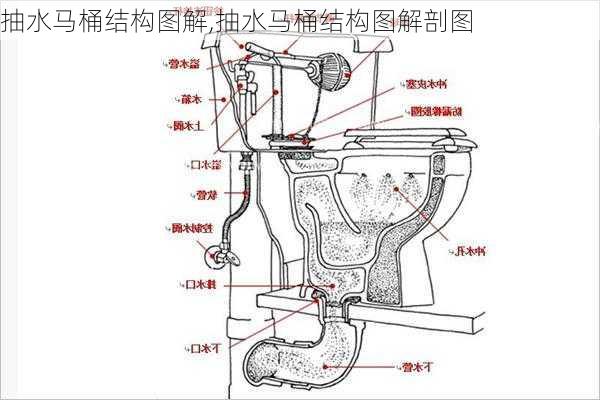 抽水马桶结构图解,抽水马桶结构图解剖图