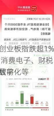 创业板指跌超1% 消费电子、财税数字化等
居前