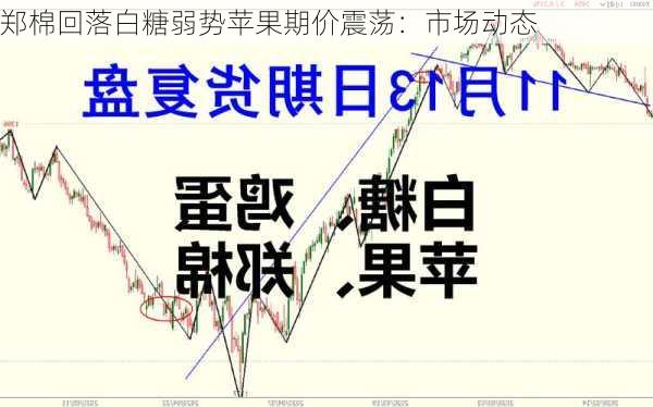 郑棉回落白糖弱势苹果期价震荡：市场动态