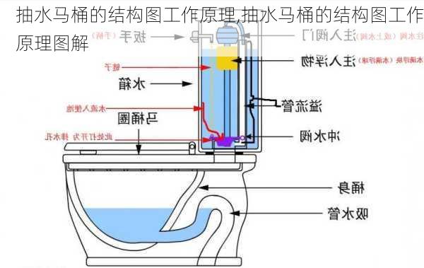 抽水马桶的结构图工作原理,抽水马桶的结构图工作原理图解