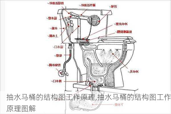 抽水马桶的结构图工作原理,抽水马桶的结构图工作原理图解