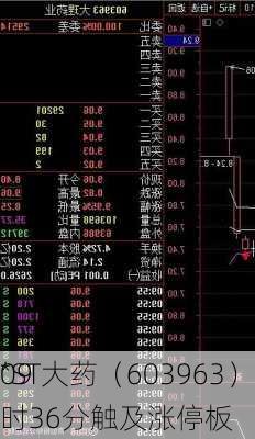 *ST大药（603963）：7月19
09时36分触及涨停板