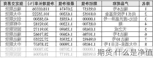 期货 什么是净值