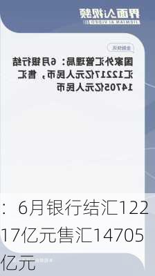 
：6月银行结汇12217亿元售汇14705亿元
