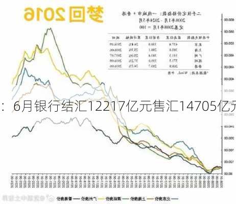 
：6月银行结汇12217亿元售汇14705亿元
